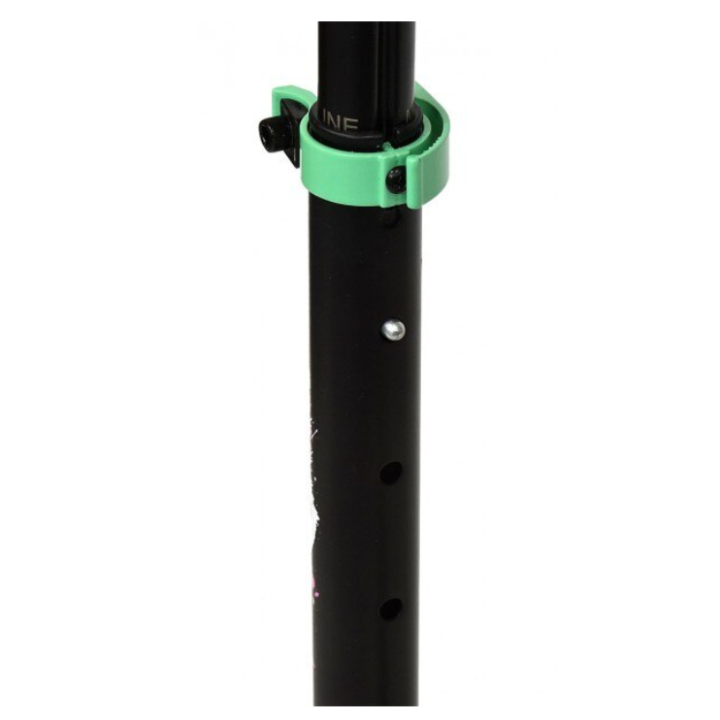 Trotineta pentru copii PB Kid cu doua roti 145 mm, roz cu verde